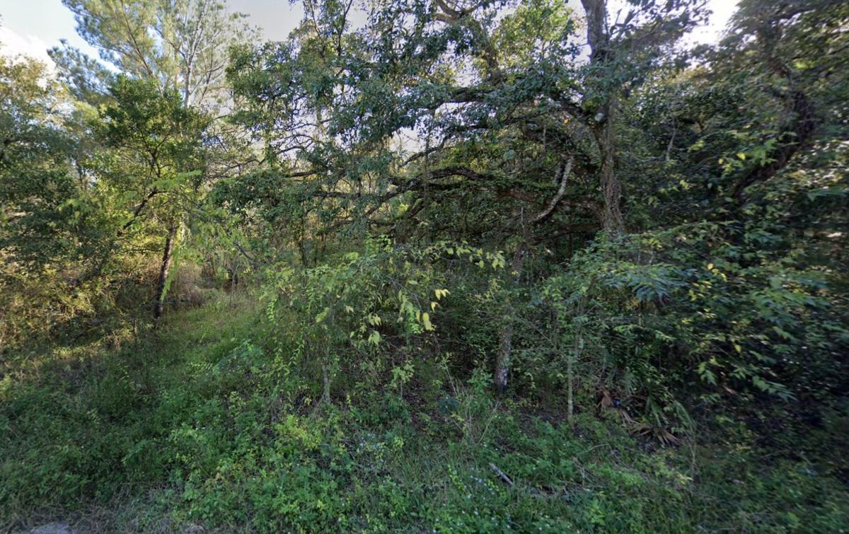 0.17 Acres for Sale in Ridge Manor, Florida