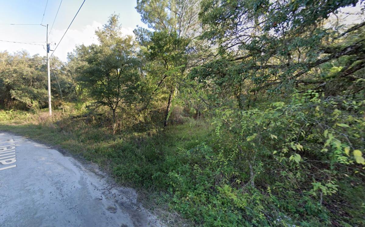 0.17 Acres for Sale in Ridge Manor, Florida
