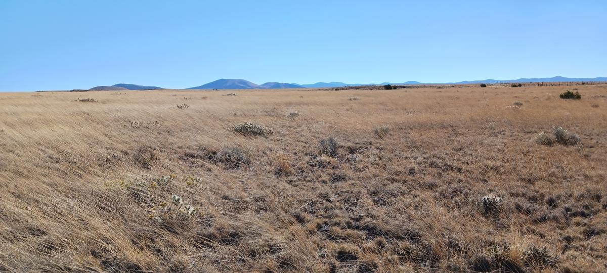 1.10 Acres for Sale in Show Low, Arizona
