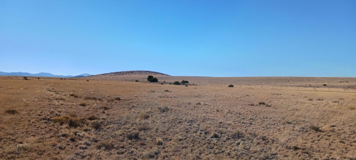 1.10 Acres for Sale in Show Low, Arizona