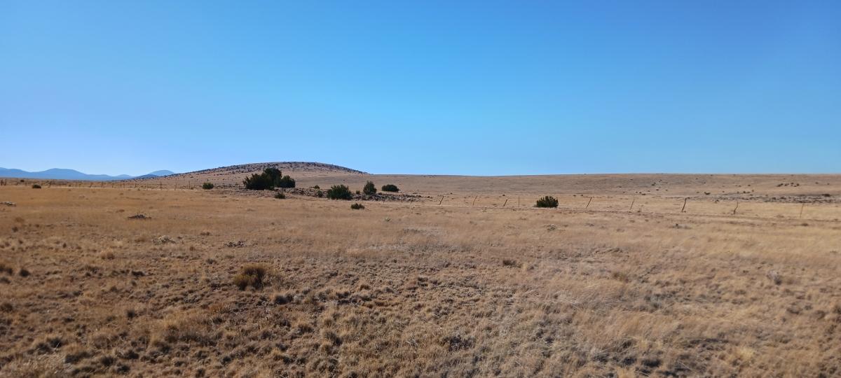 1.10 Acres for Sale in Show Low, Arizona