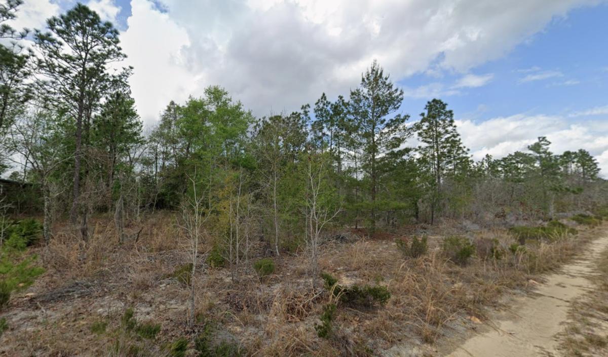 0.2 Acres for Sale in Interlachen, Florida