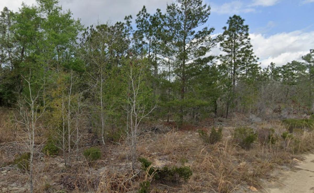 0.2 Acres for Sale in Interlachen, Florida