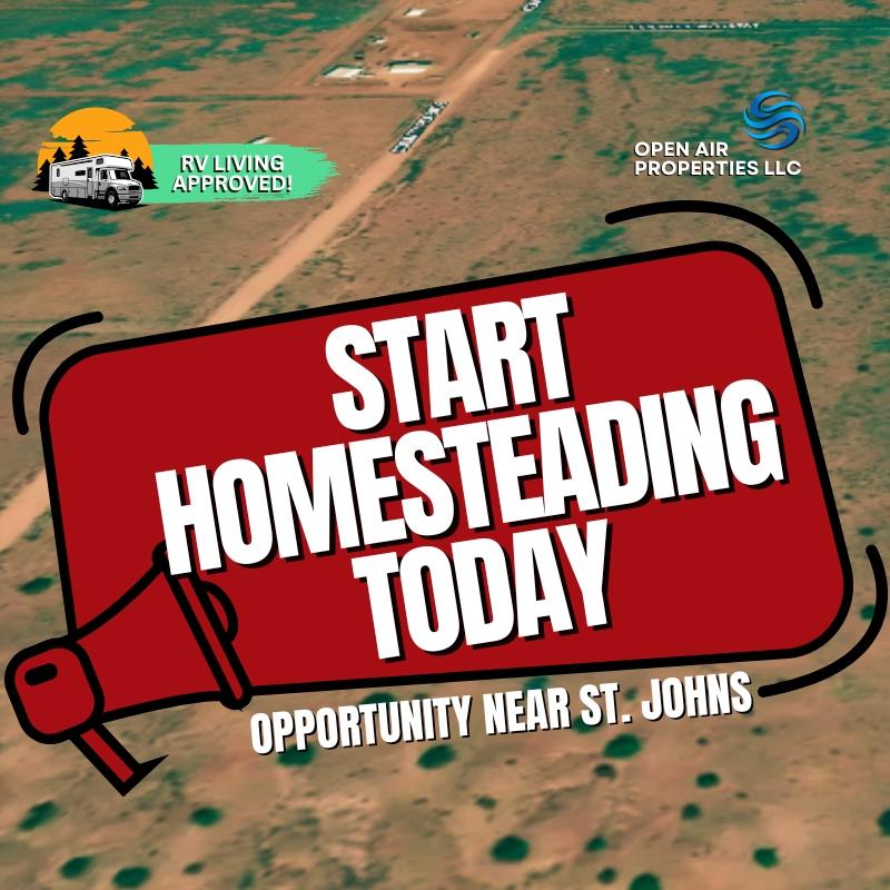 1.04 Acres for Sale in Saint Johns, Arizona