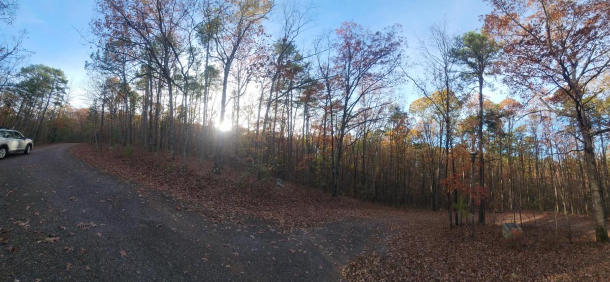 0.30 Acres for Sale in Hot Springs, Arkansas