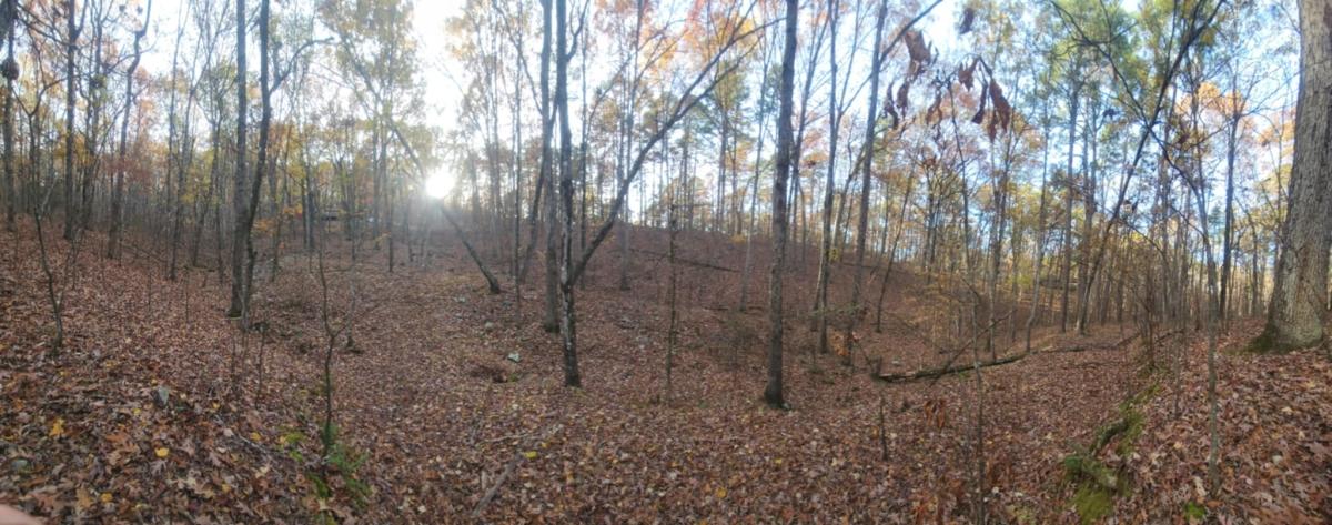 0.30 Acres for Sale in Hot Springs, Arkansas
