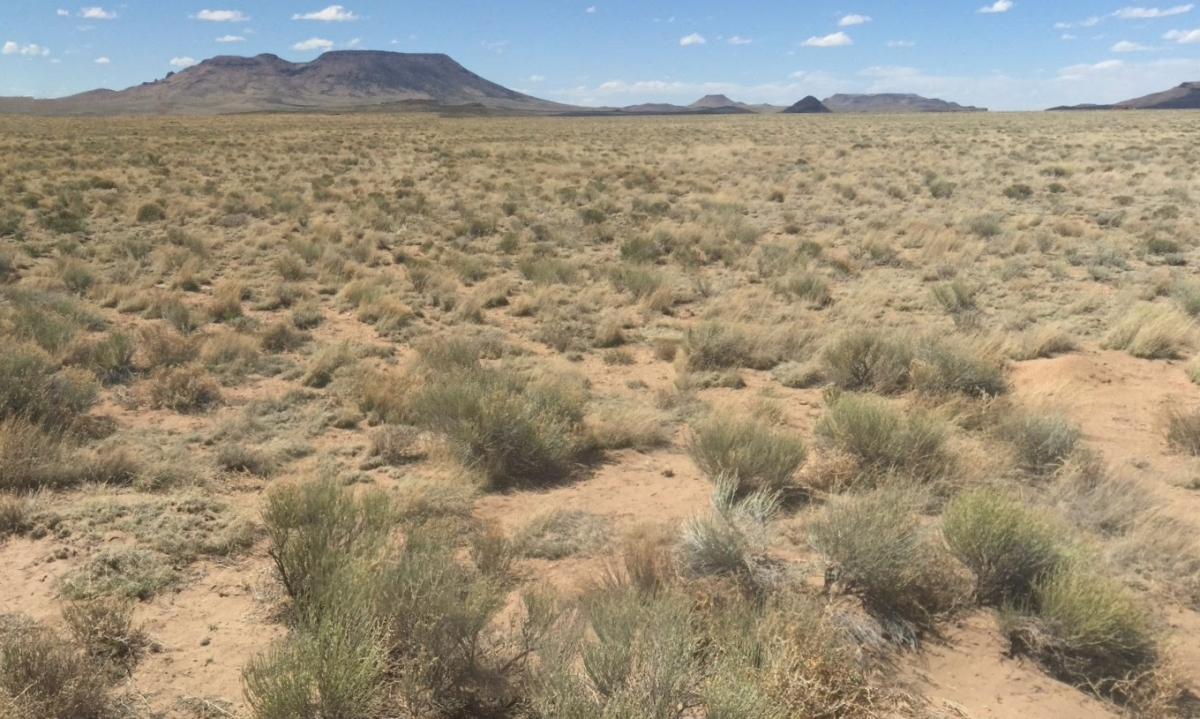 5 Acres for Sale in Mesita, Colorado