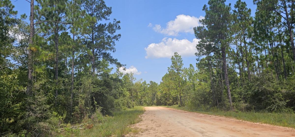 1.10 Acres for Sale in Round Lake, Florida
