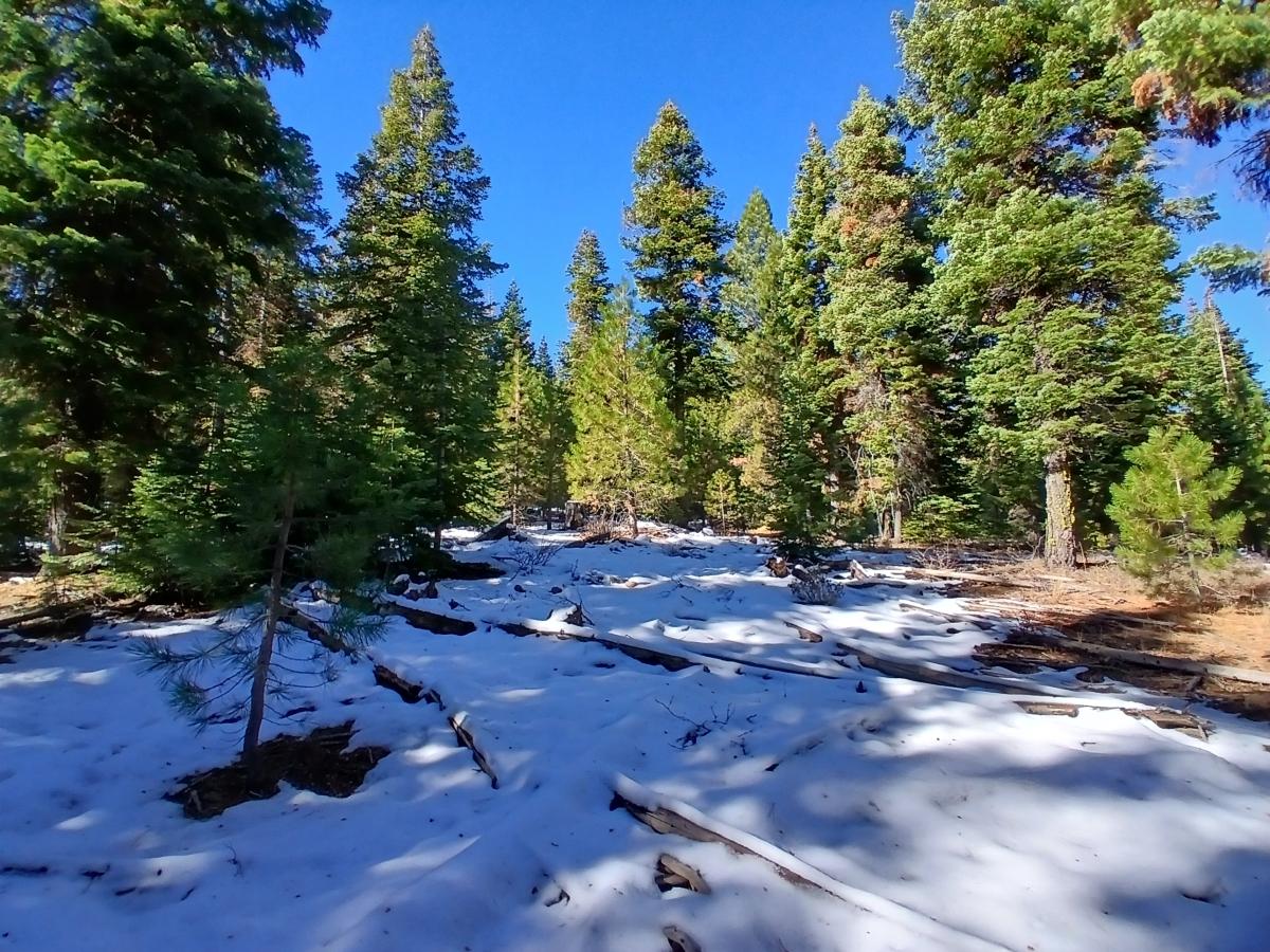 0.84 Acres for Sale in Alturas, California