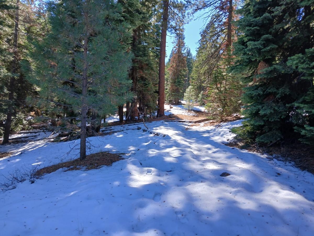 0.84 Acres for Sale in Alturas, California
