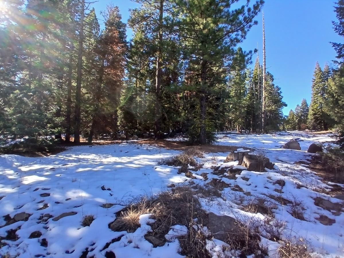 0.92 Acres for Sale in Alturas, California