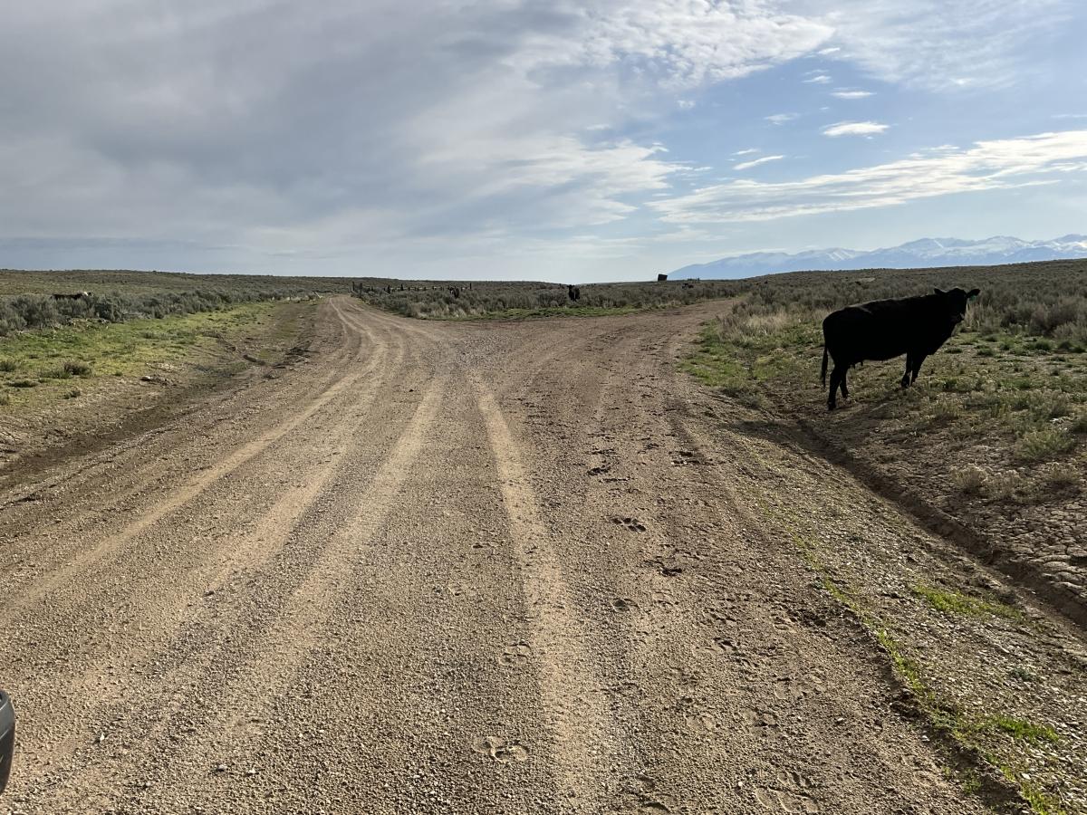 1.13 Acres for Sale in Spring Creek, Nevada