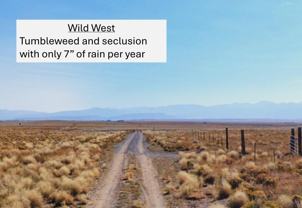 5 Acres for Sale in Blanca, Colorado