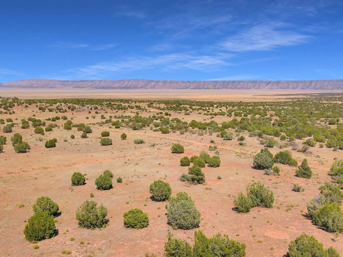 1.17 Acres for Sale in Seligman, Arizona