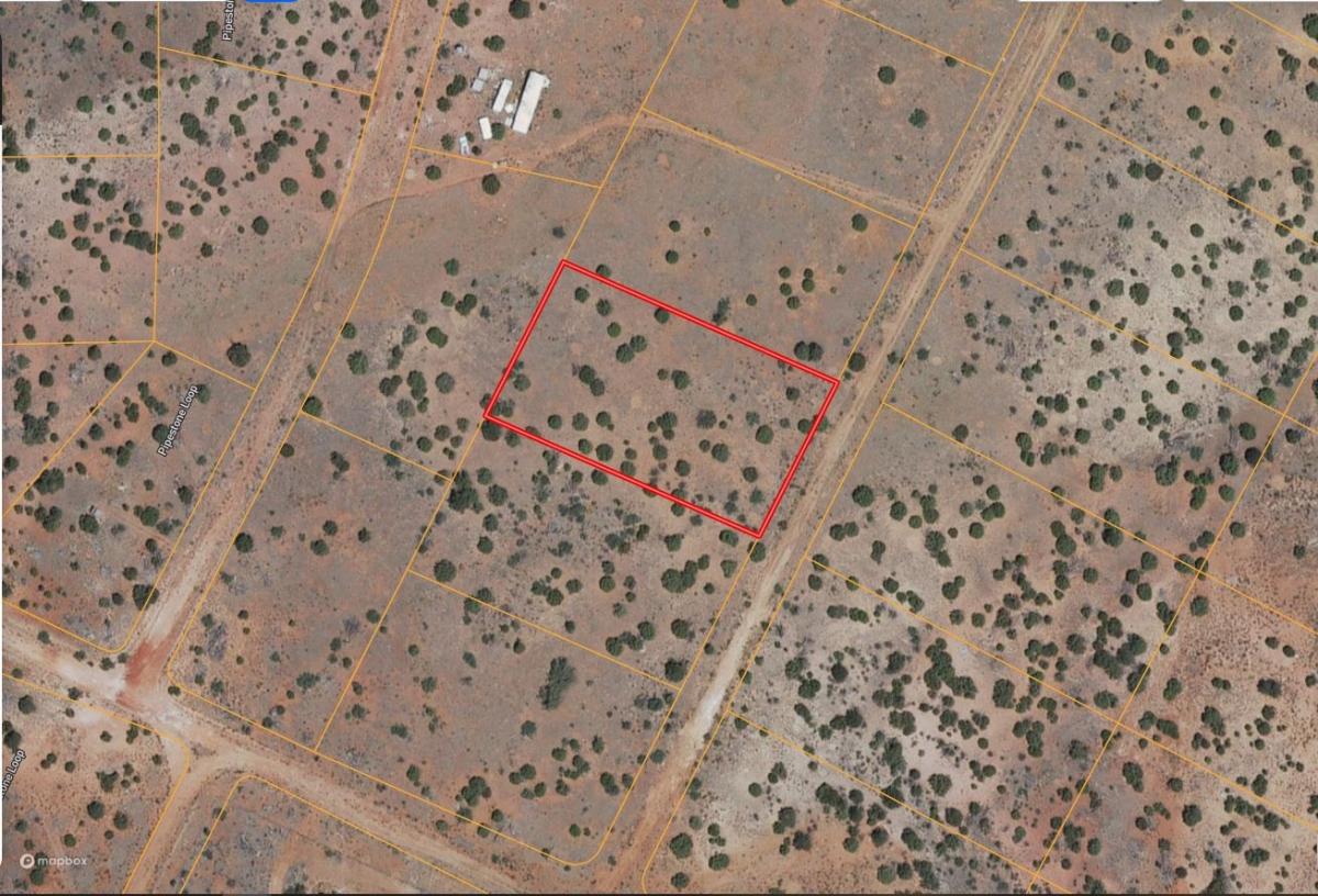 1.17 Acres for Sale in Seligman, Arizona