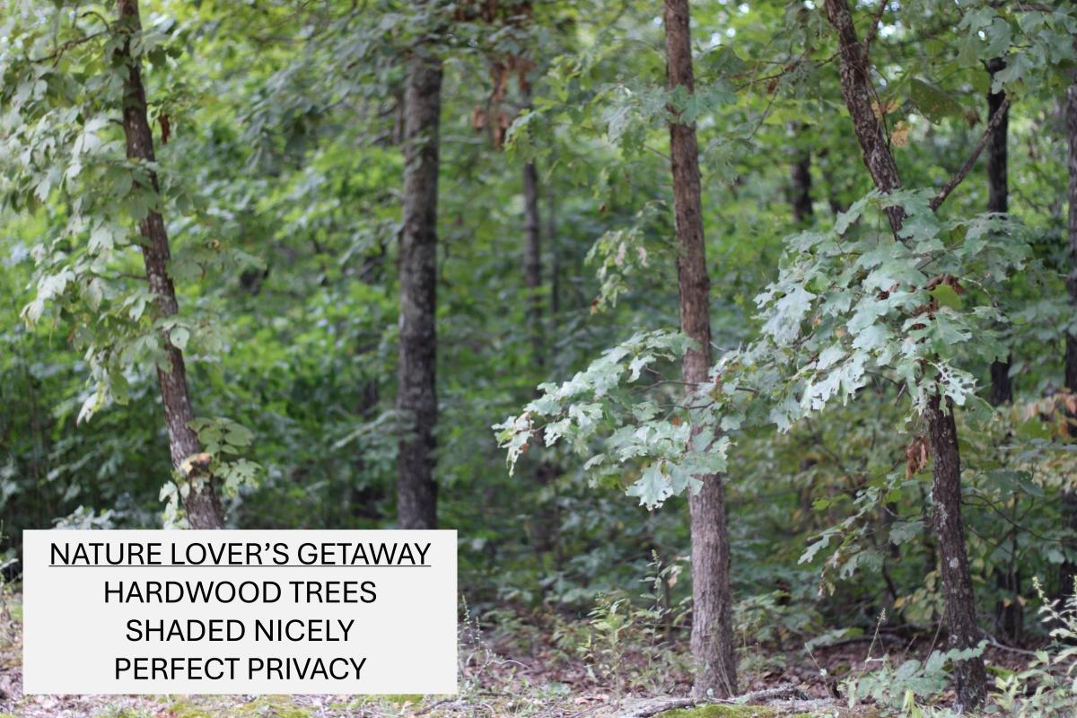 0.15 Acres for Sale in Williford, Arkansas