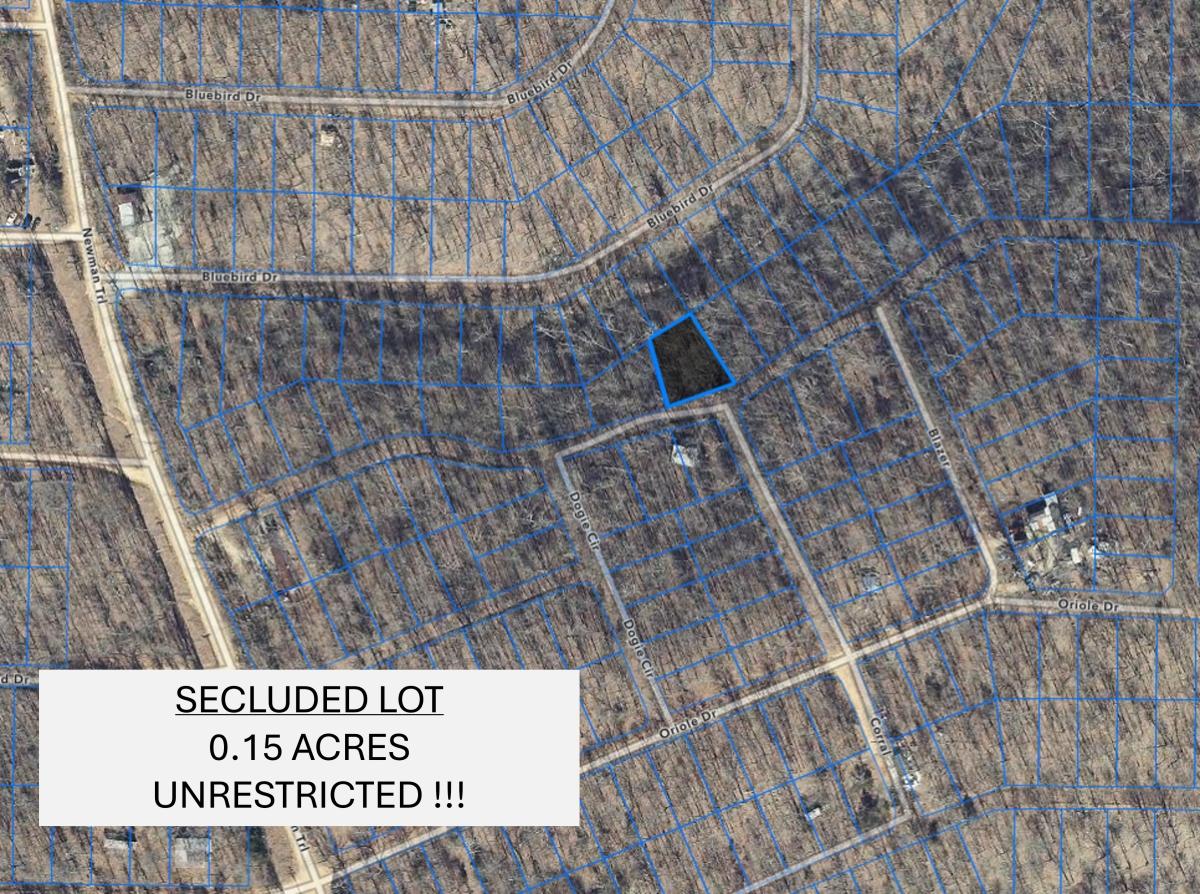 0.15 Acres for Sale in Williford, Arkansas