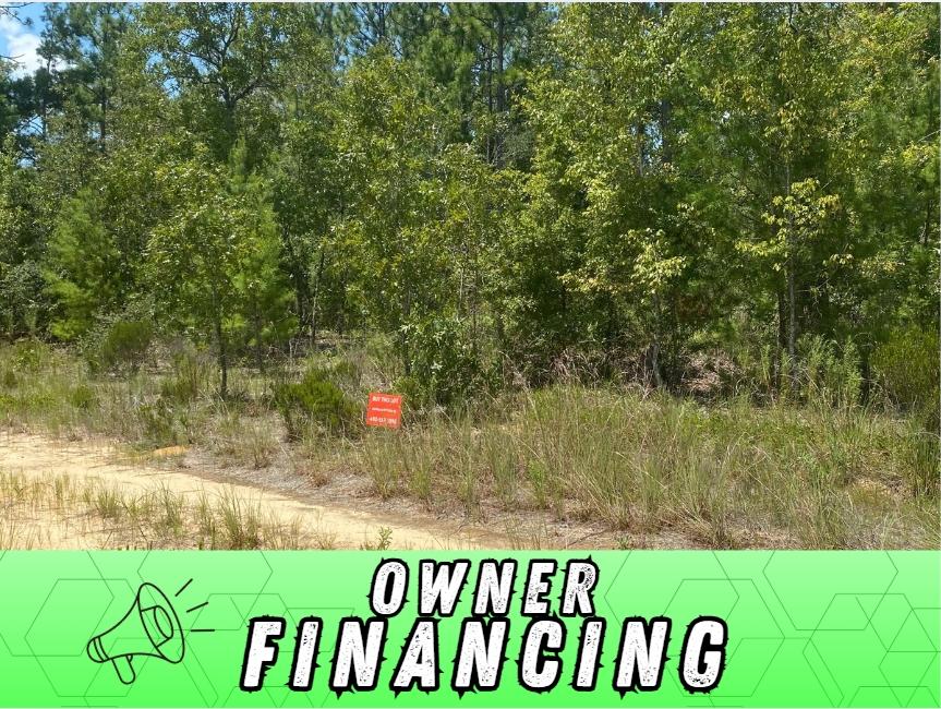 0.2 Acres for Sale in Interlachen, Florida