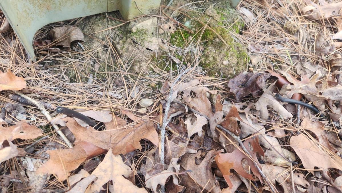 0.3 Acres for Sale in Hot Springs, Arkansas