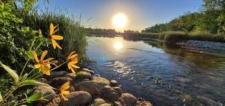 0.84 Acres for Sale in Browerville, Minnesota