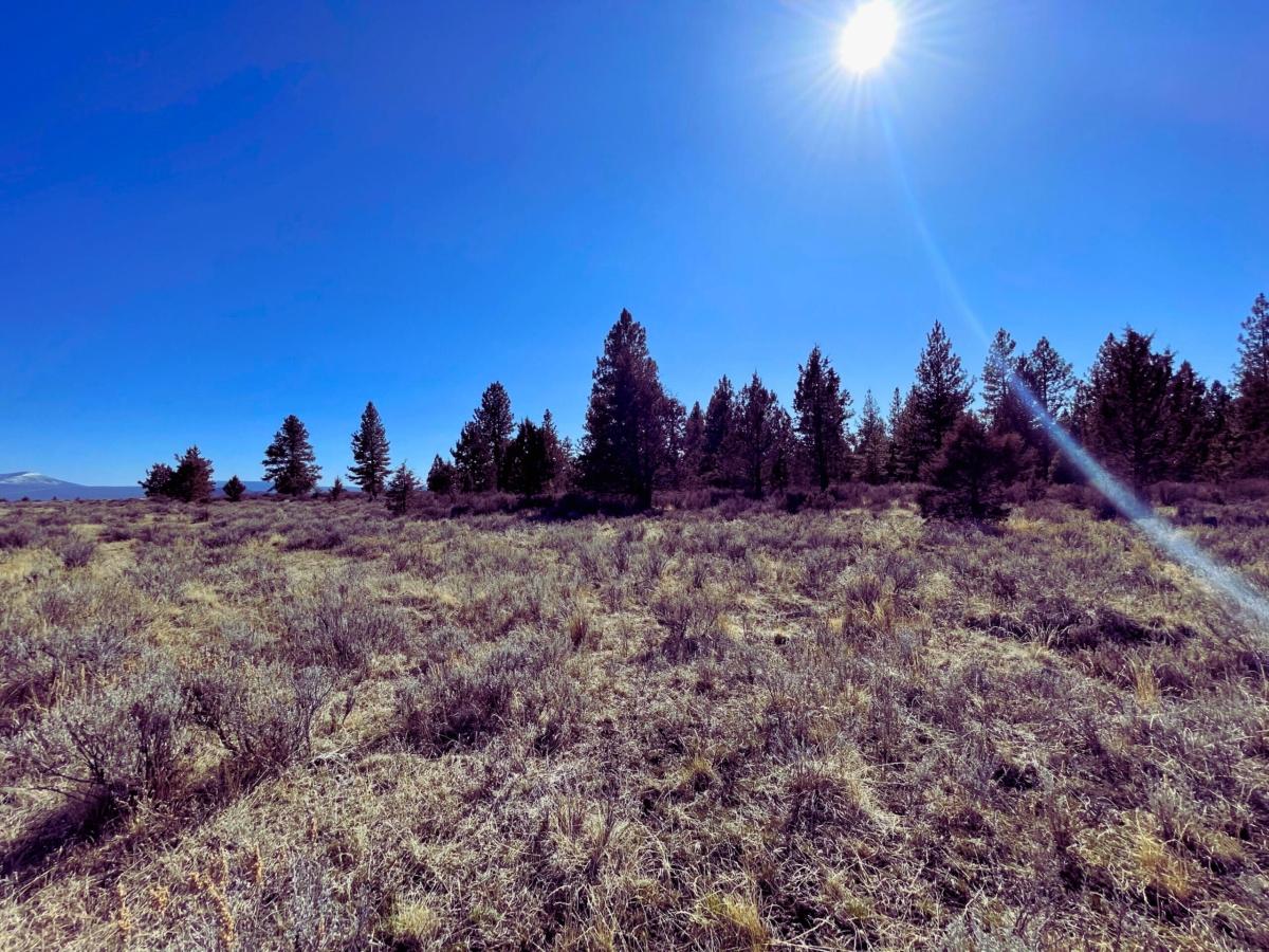 1.6 Acres for Sale in Sprague River, Oregon