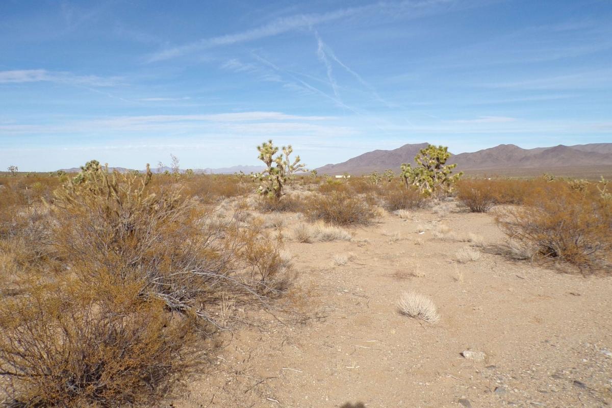 1.02 Acres for Sale in White Hills, Arizona