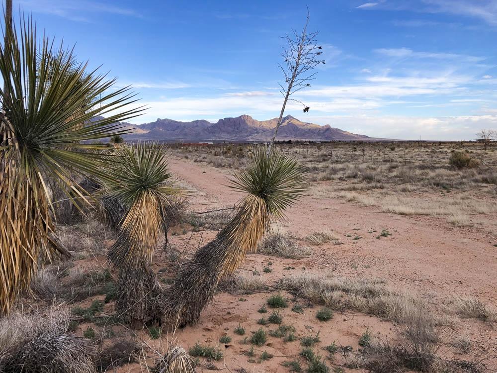 5.01 Acres for Sale in Deming, New Mexico