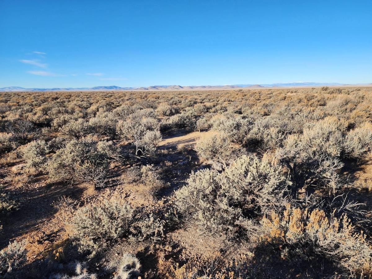 4.73 Acres for Sale in San Luis, Colorado