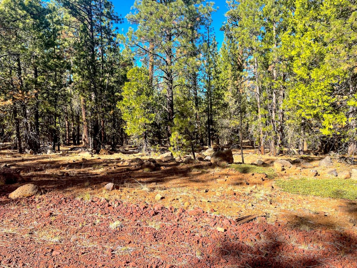 1.02 Acres for Sale in Alturas, California