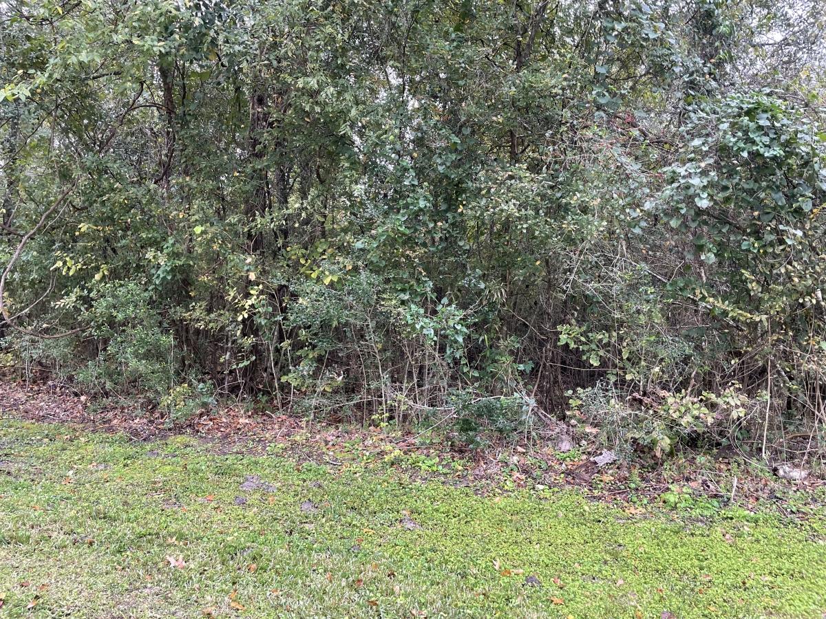 1.50 Acres for Sale in Dayton, Texas