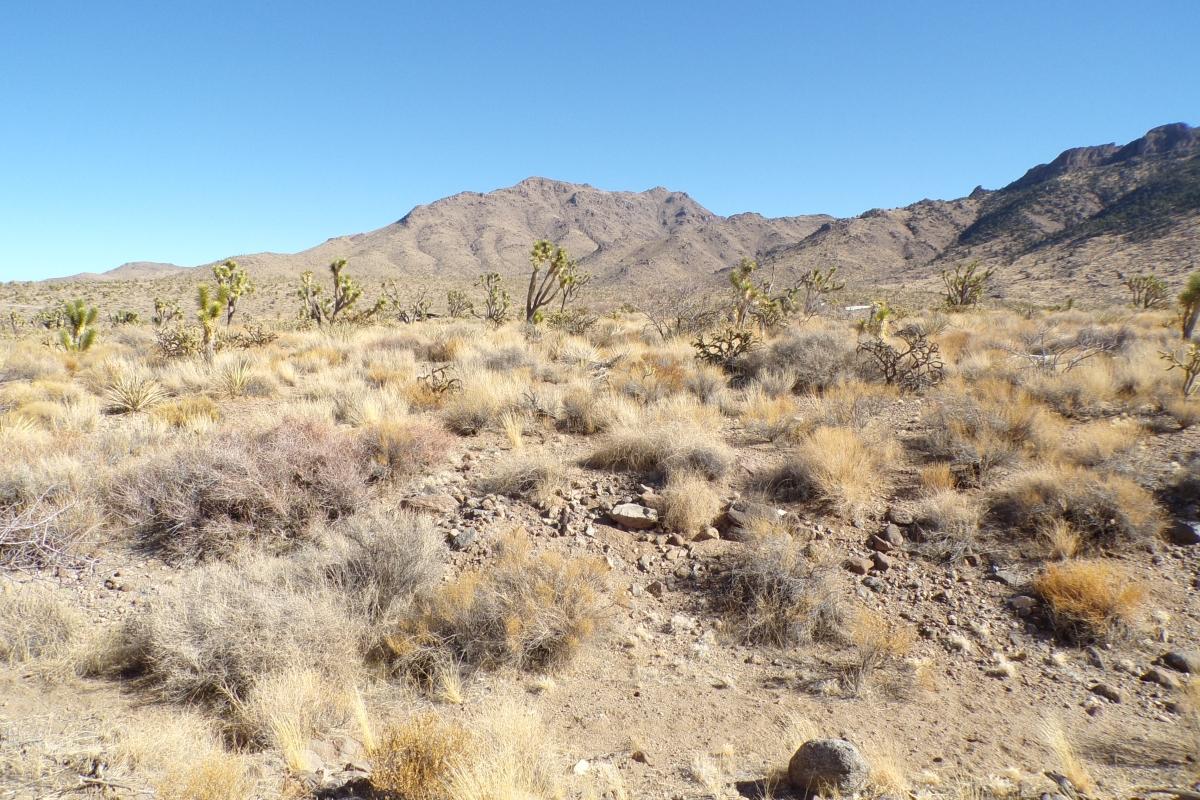 1.07 Acres for Sale in Dolan Springs, Arizona