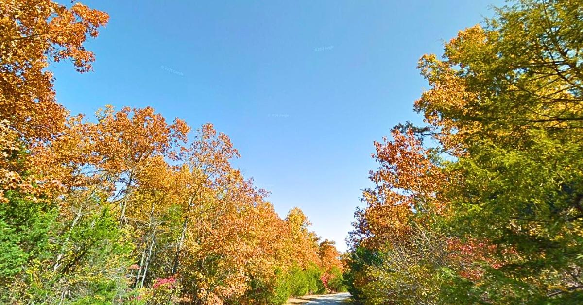 0.40 Acres for Sale in Horseshoe Bend, Arkansas