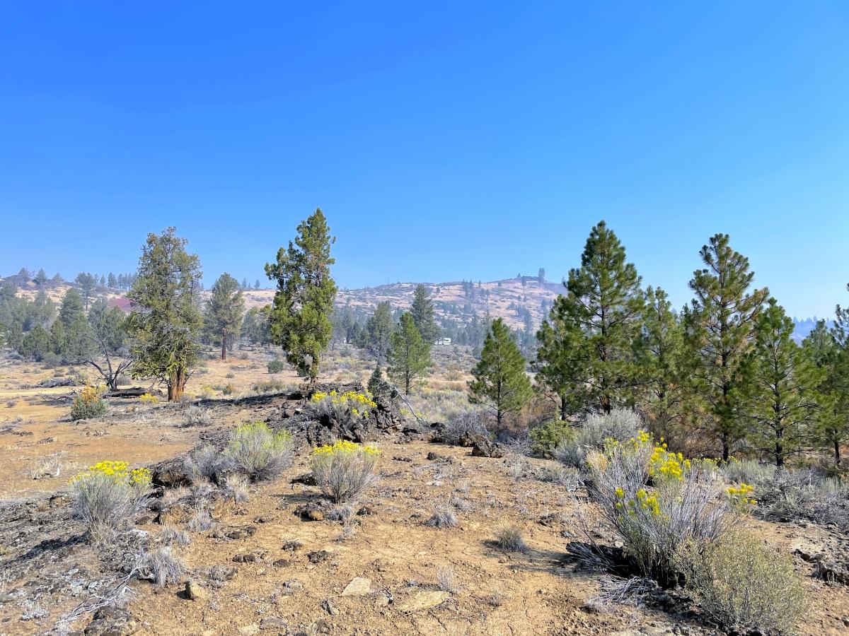 2.6 Acres for Sale in Chiloquin, Oregon
