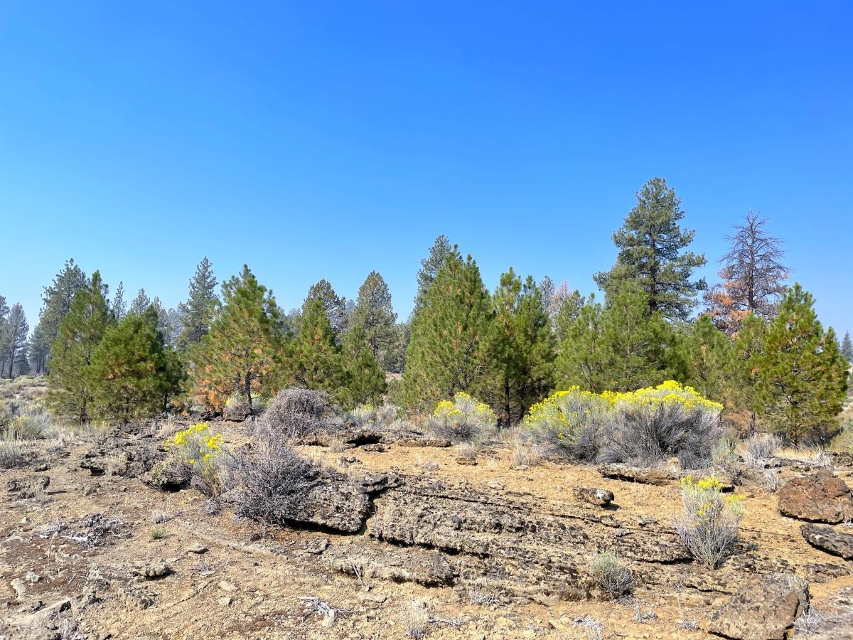 2.6 Acres for Sale in Chiloquin, Oregon