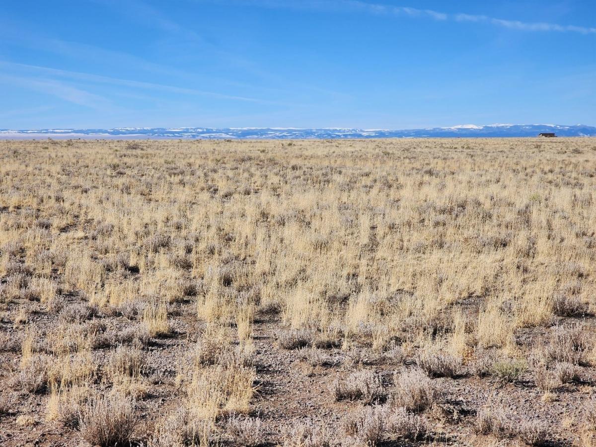 5.03 Acres for Sale in Blanca, Colorado