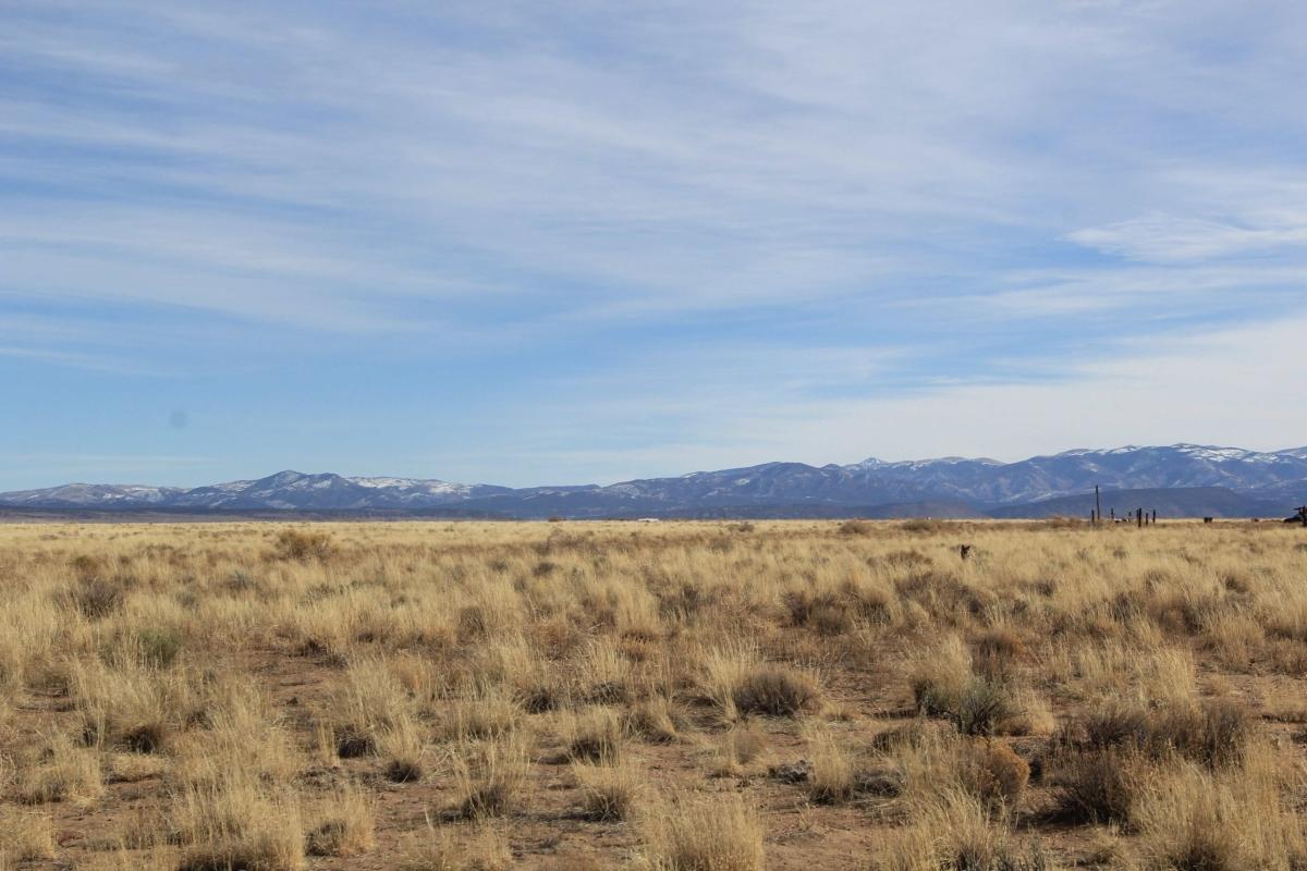 5.08 Acres for Sale in Blanca, Colorado