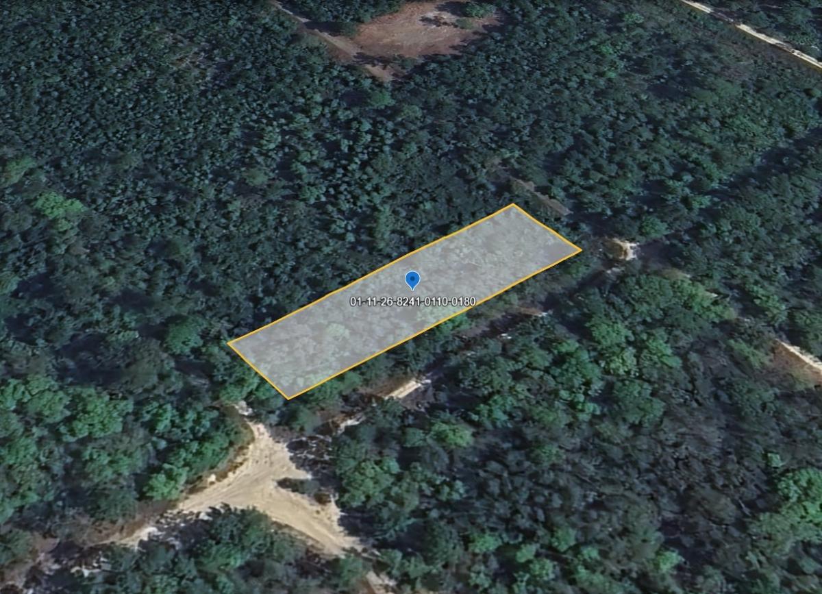 0.46 Acres for Sale in Satsuma, Florida