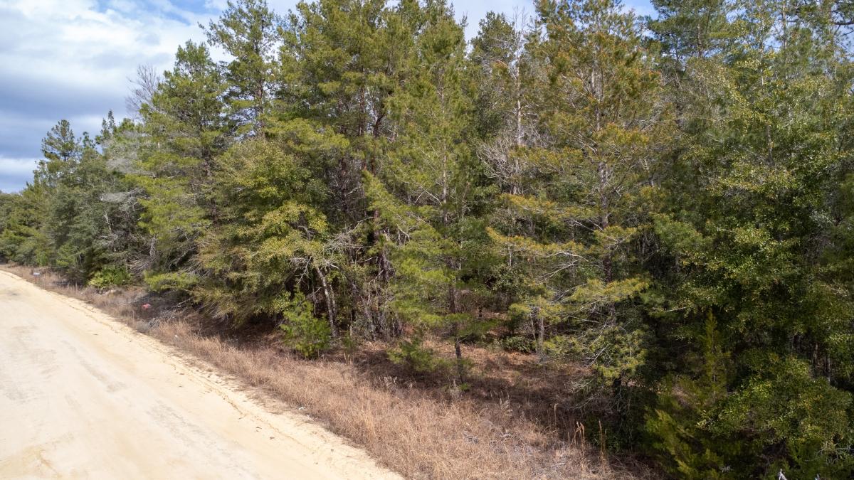 0.22 Acres for Sale in Interlachen, Florida