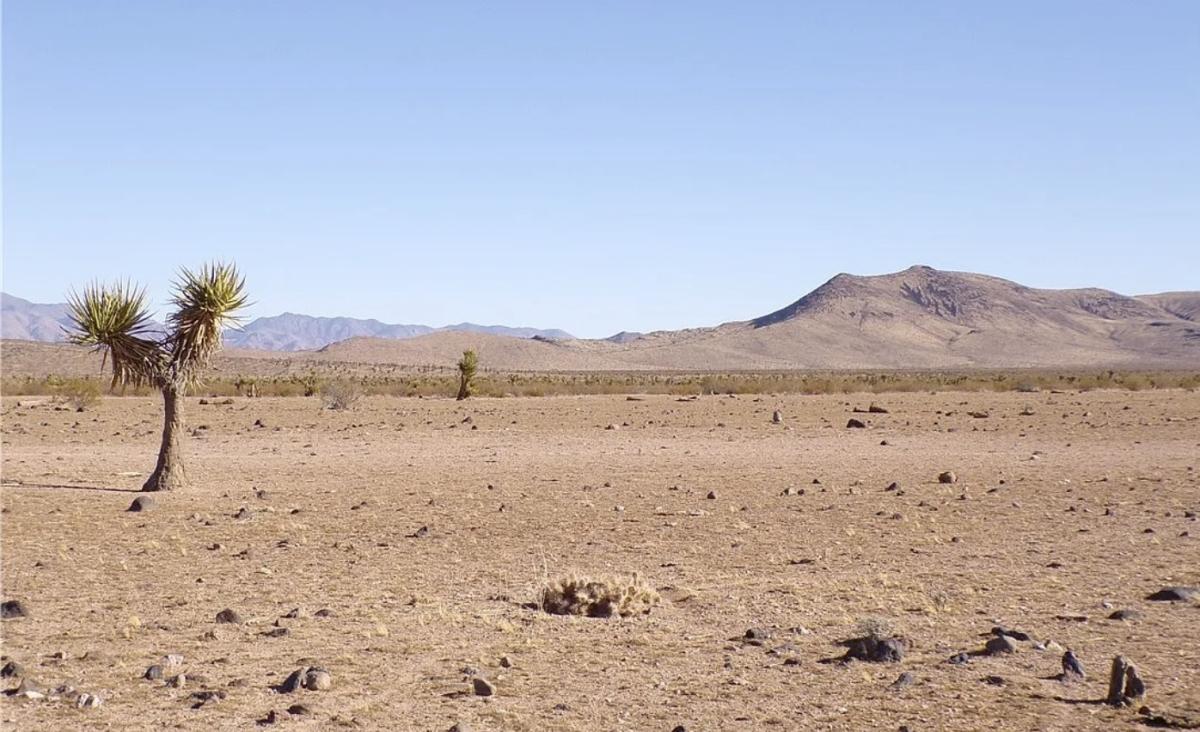 5 Acres for Sale in Dolan Springs, Arizona