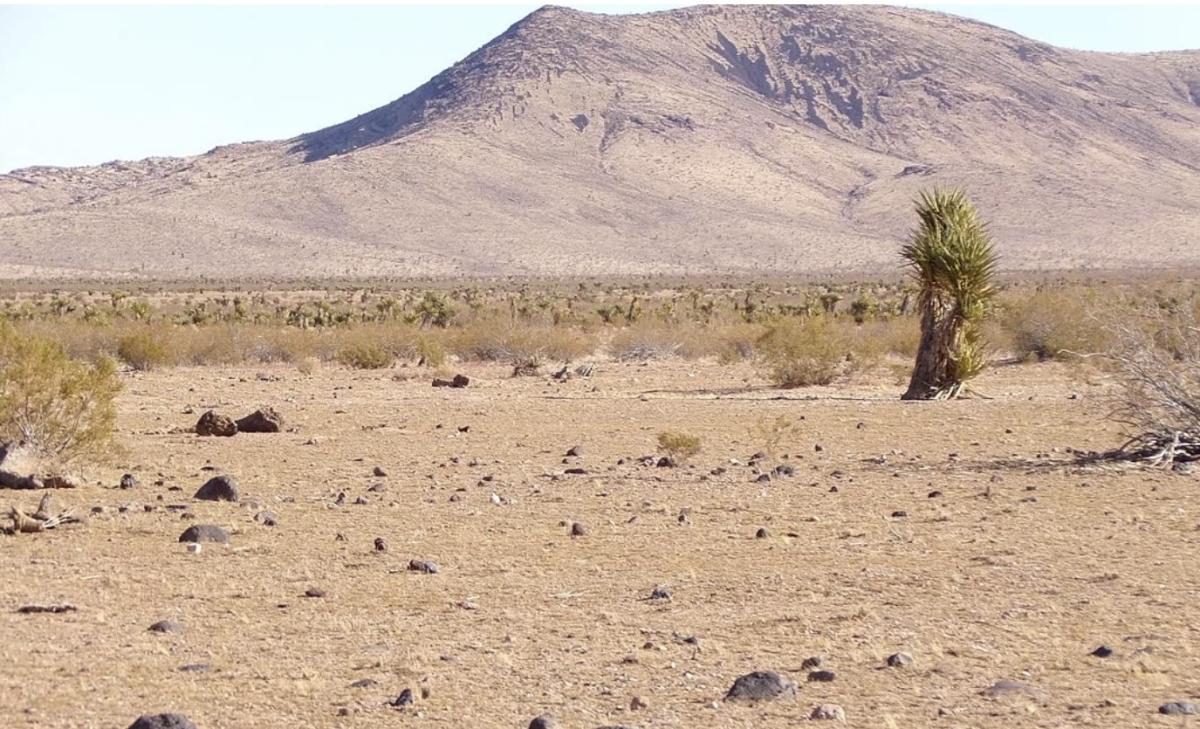 5 Acres for Sale in Dolan Springs, Arizona