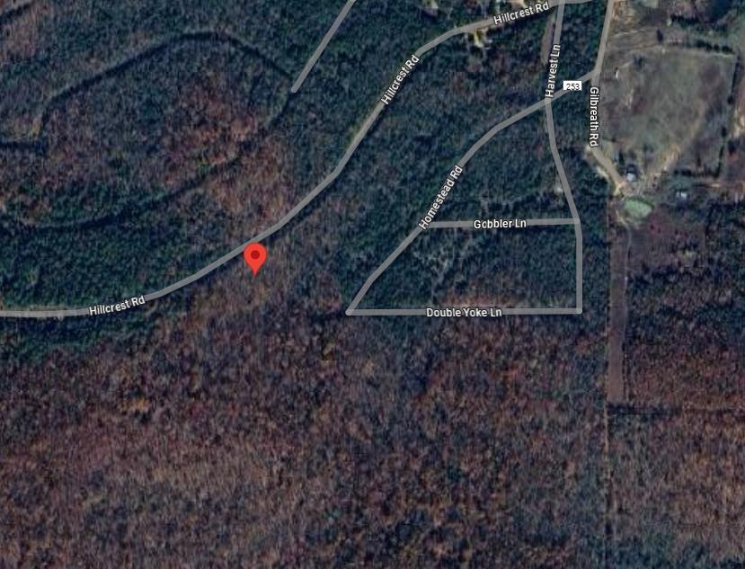 0.31 Acres for Sale in Horseshoe Bend, Arkansas