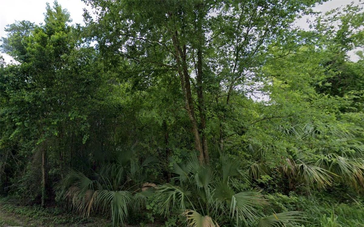 0.23 Acres for Sale in Orange City, Florida