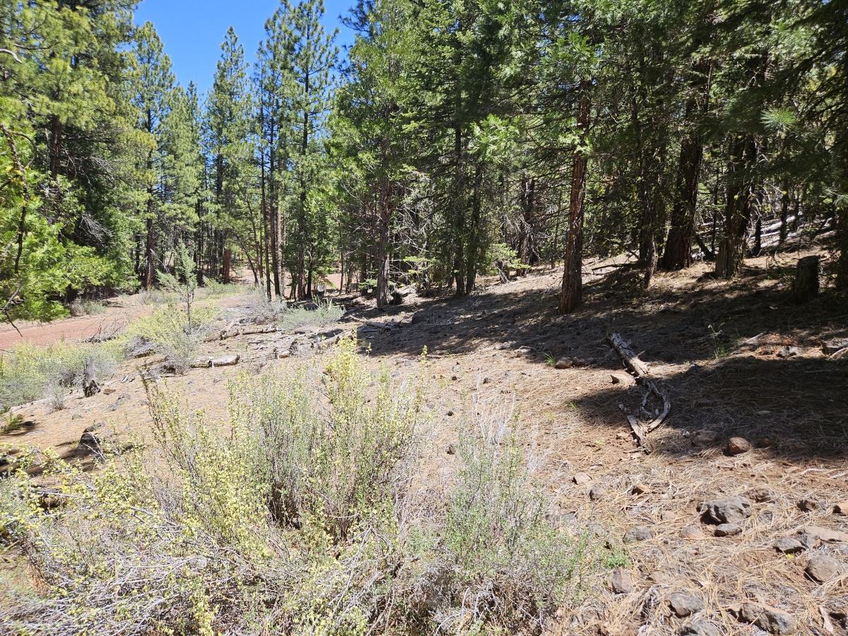 1.04 Acres for Sale in Alturas, California