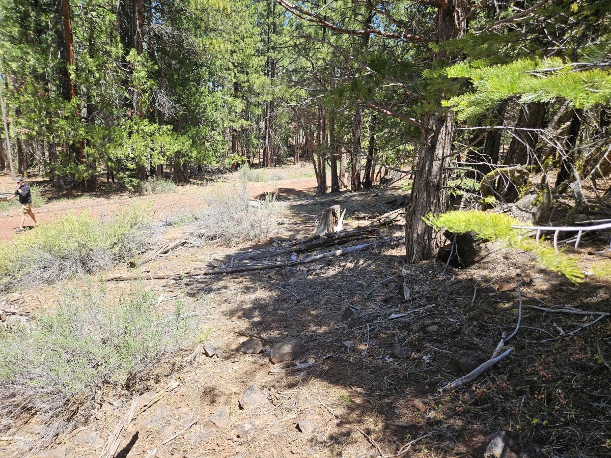1.04 Acres for Sale in Alturas, California