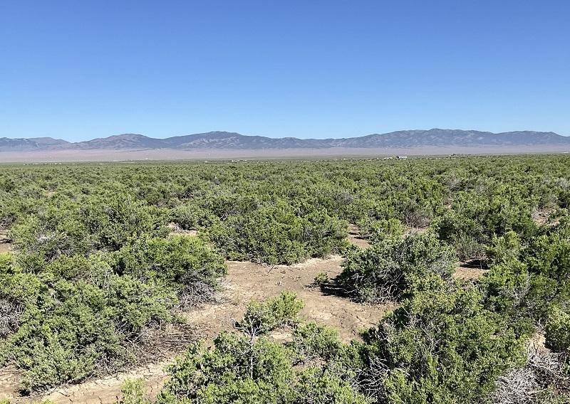 10.00 Acres for Sale in Montello, Nevada