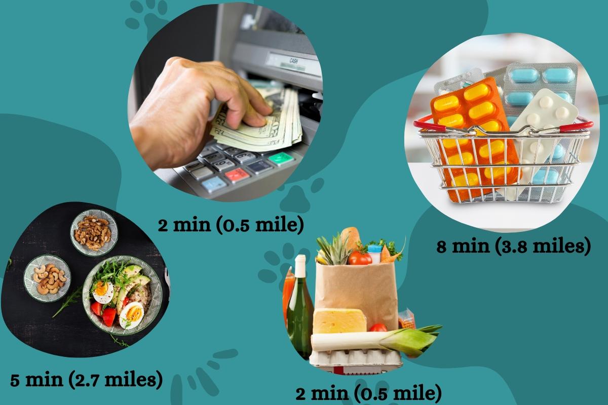 0.11 Acres for Sale in New Caney, Texas