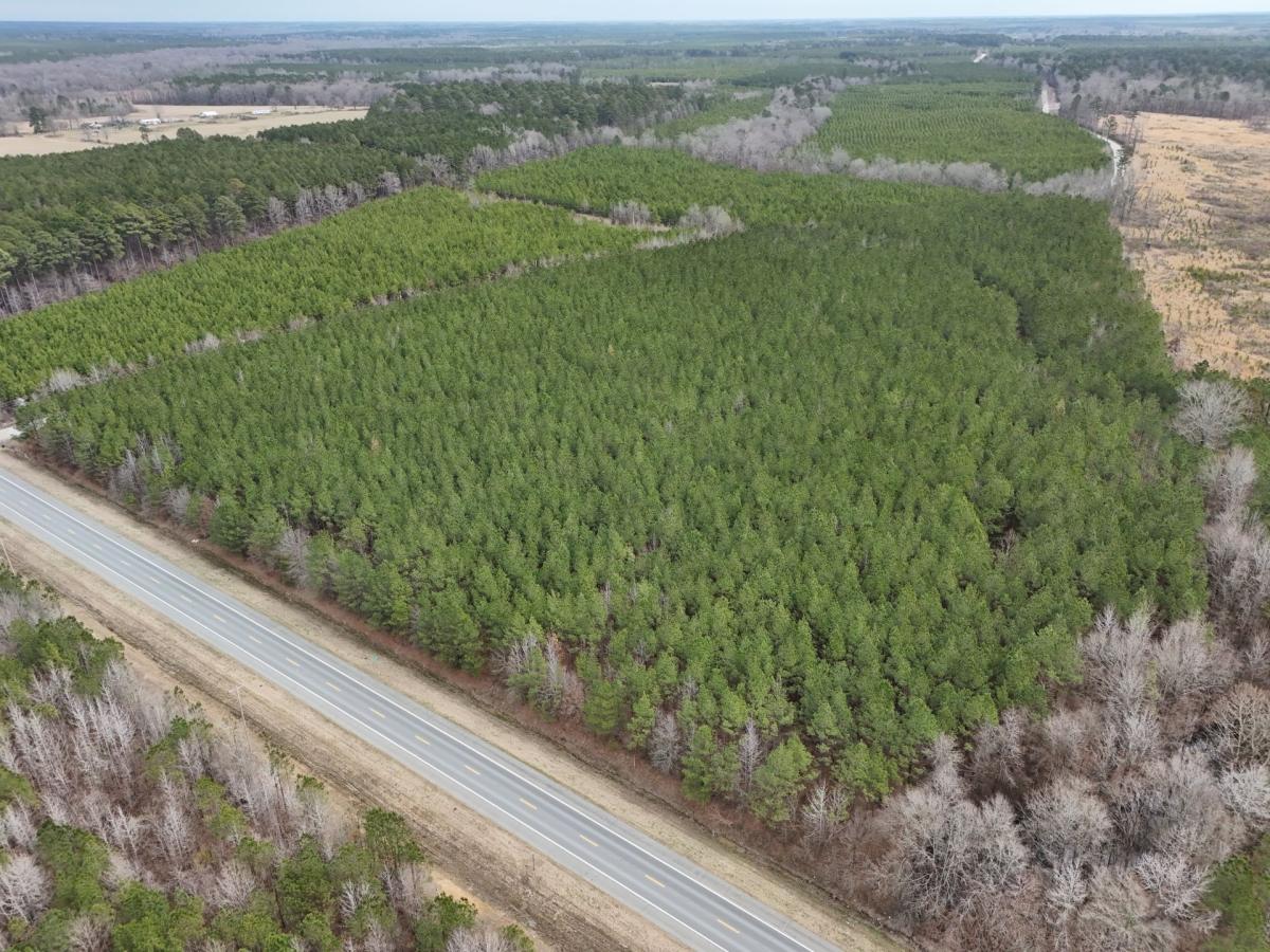 79.48 Acres for Sale in Monticello, Arkansas