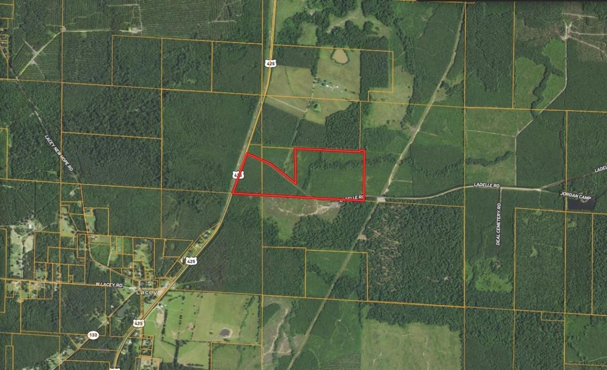 79.48 Acres for Sale in Monticello, Arkansas