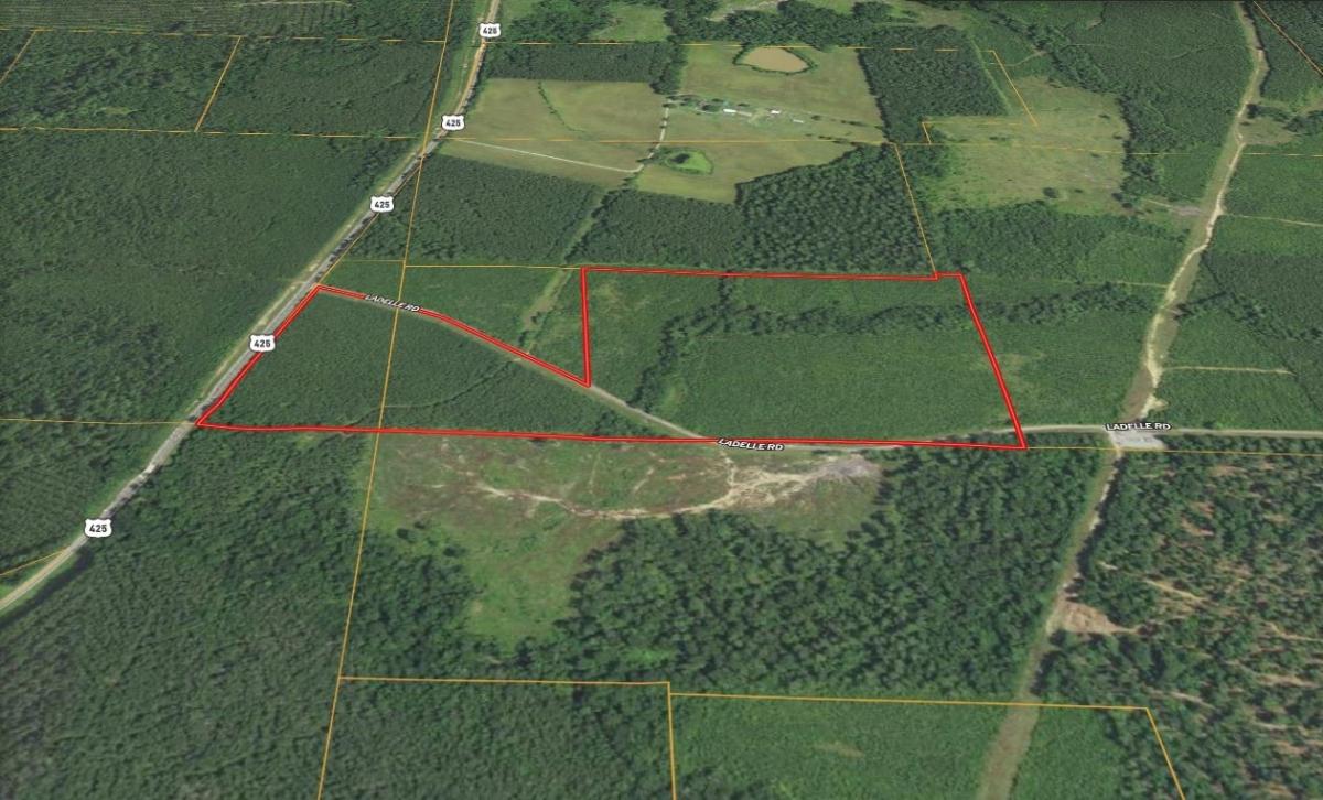 79.48 Acres for Sale in Monticello, Arkansas