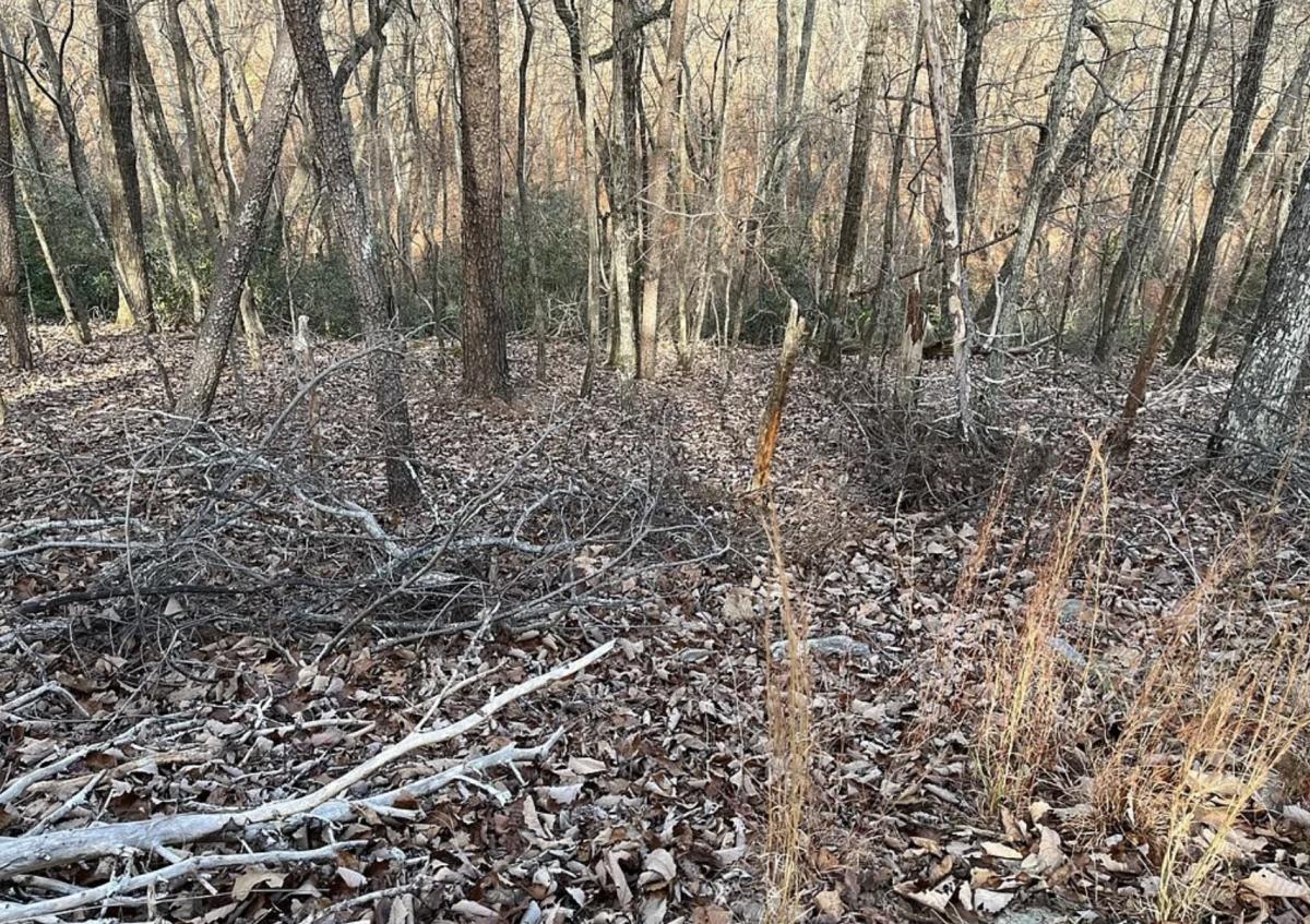 .43 Acres for Sale in Waleska, Georgia